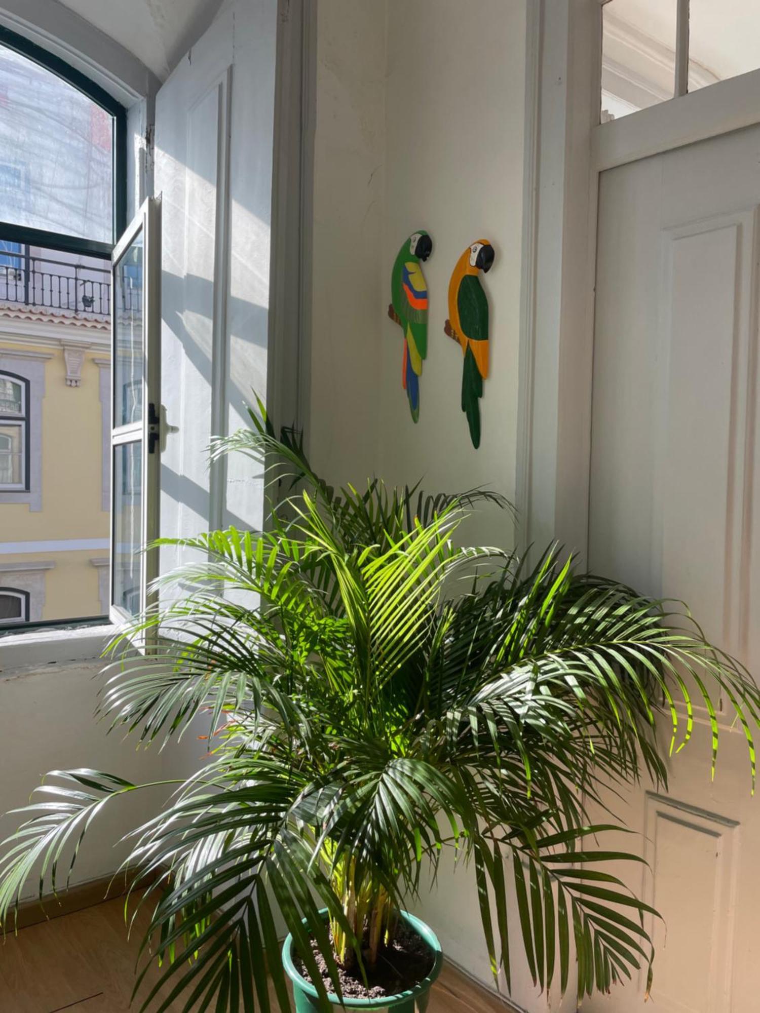 Chiado Home Lisboa المظهر الخارجي الصورة